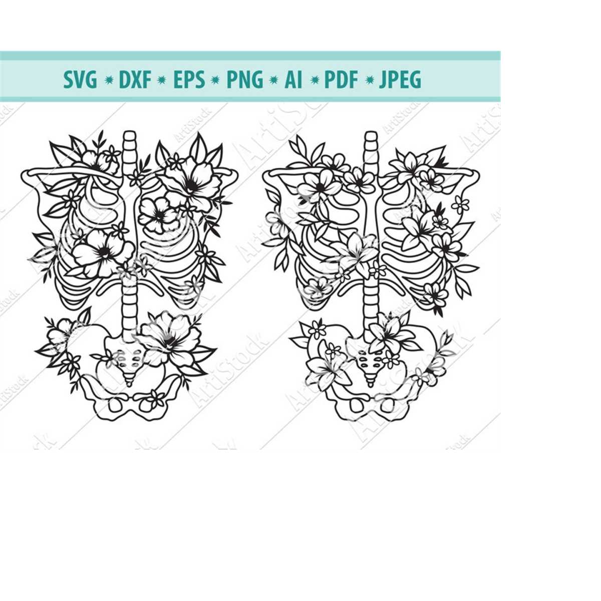 Skeleton Flo Skeleton SVG File, Flower skeleton svg, Flower ribs Svg, Flo | Inspire ...