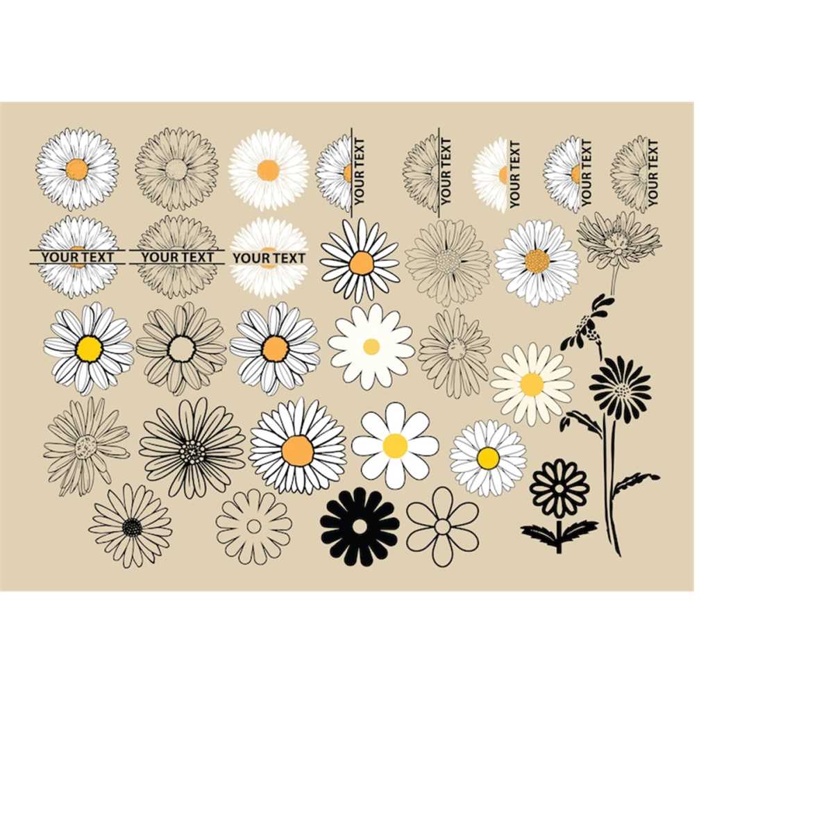 DAISY SVG, DAISY Flower Clipart, Daisy Svg Cut files for Cri - Inspire ...