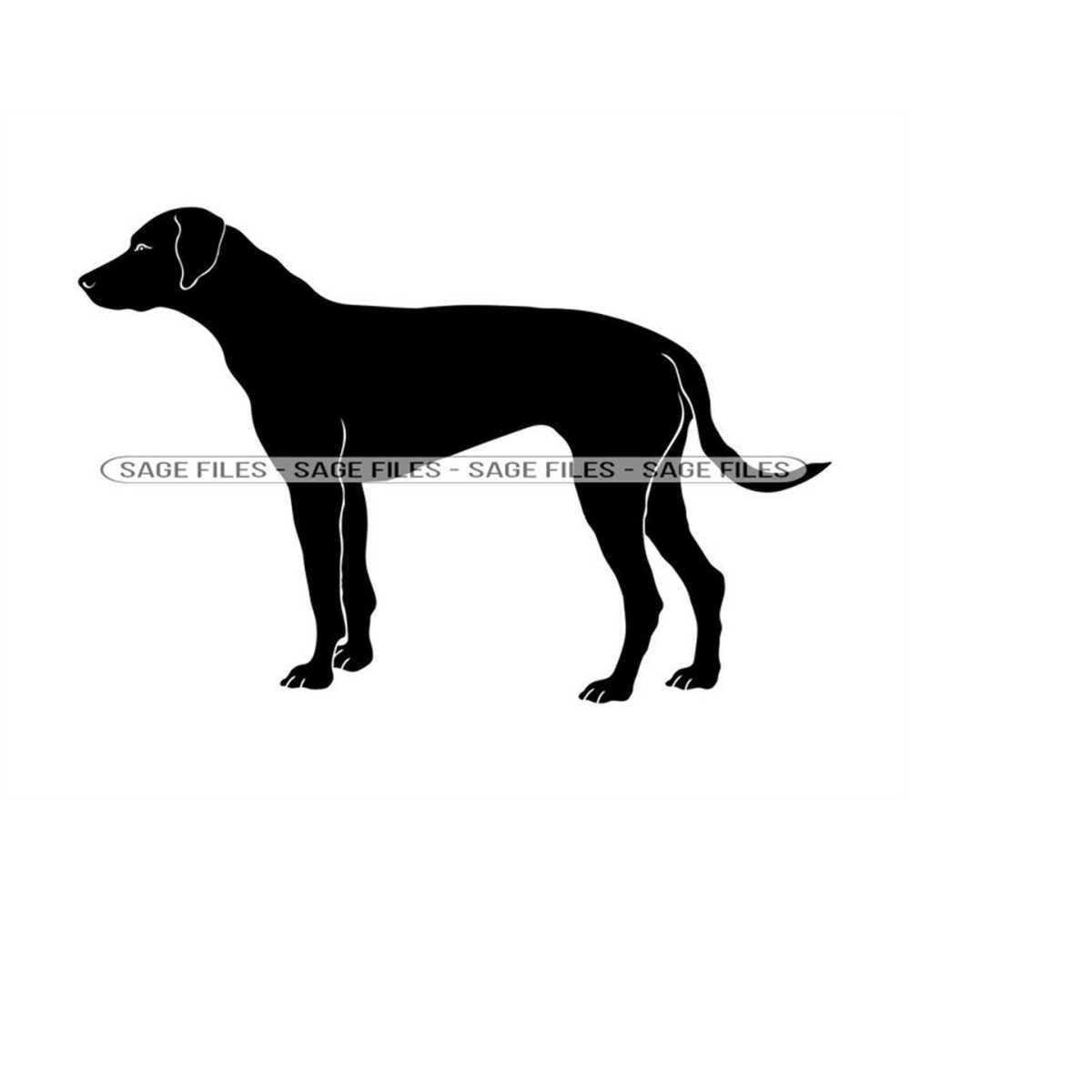 Ridgeback Back Vector Ridge Rhodesian Ridgeback SVG, Dog Svg, Rhodesian Ridgeback Clipar - Inspire ...