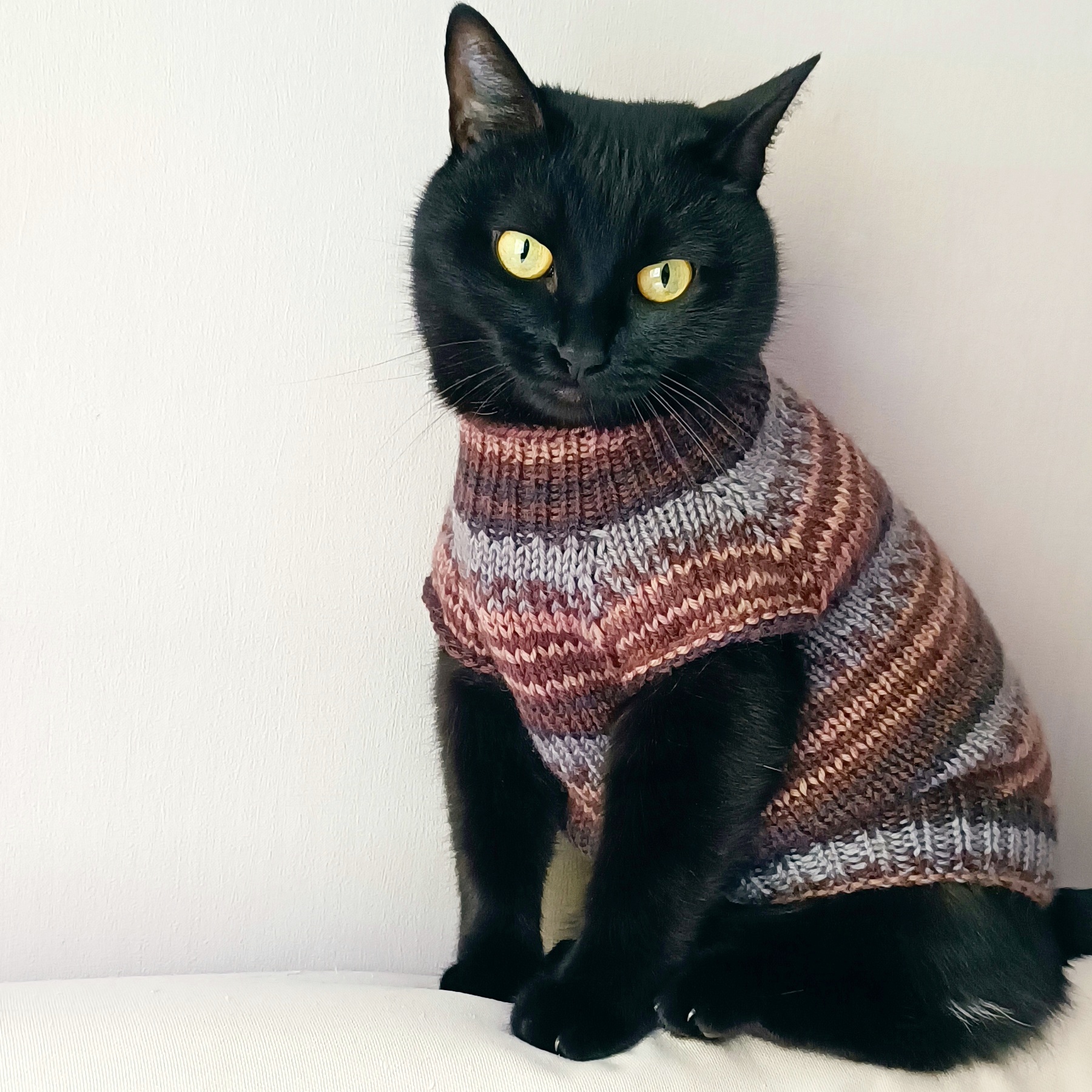 Yarn cat sweater Jumper for cat Sweater for pet Dog clothin Inspire