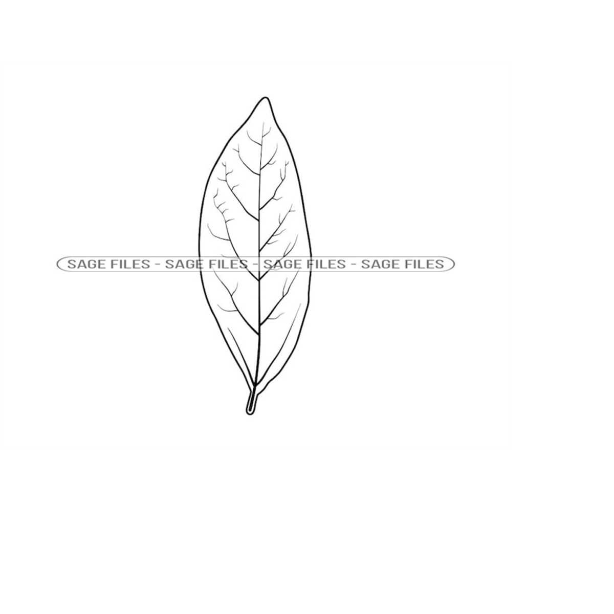 Bay Leaf Outline SVG, Bay Leaf Clipart, Bay Leaf Files for C - Inspire ...