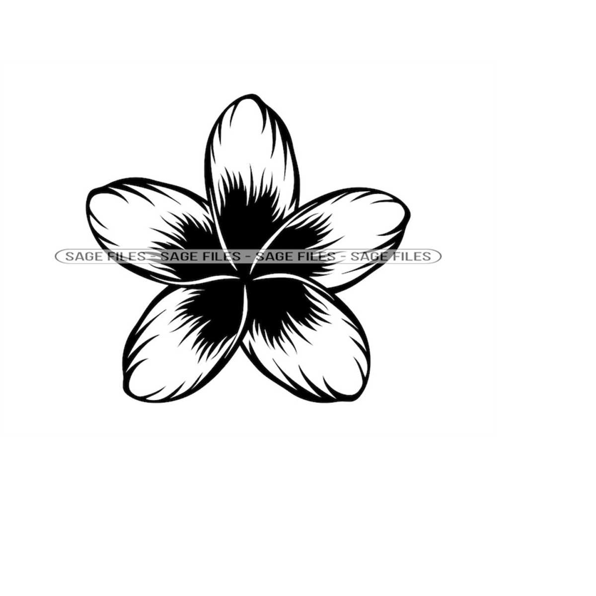 Frangipani Flower SVG, Flower Svg, Decorative Svg, Flower Cl Inspire