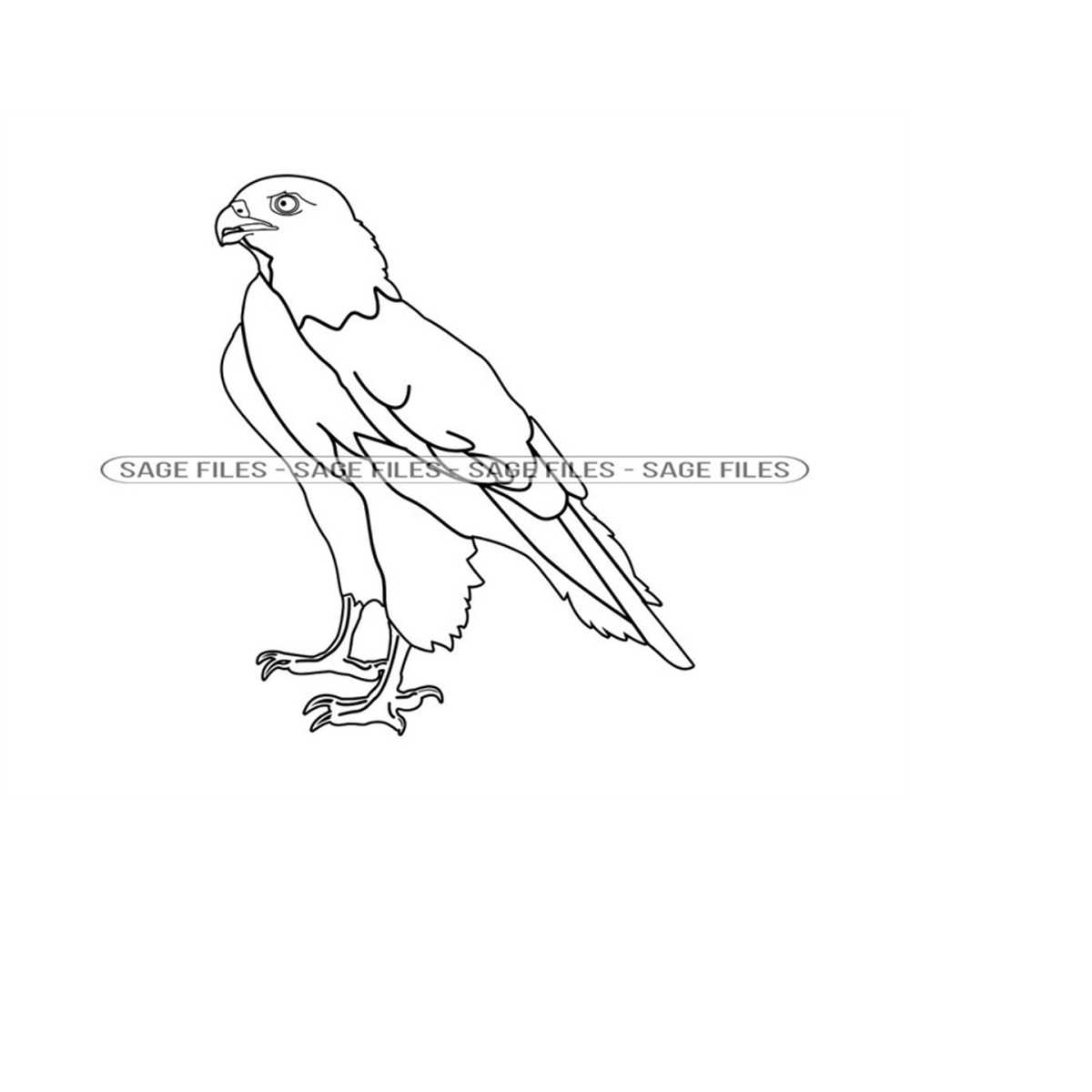 Outlined Hawk Hawk Outline SVG, Hawk Svg, Hawk Clipart, Hawk Files for Cri - Inspire ...