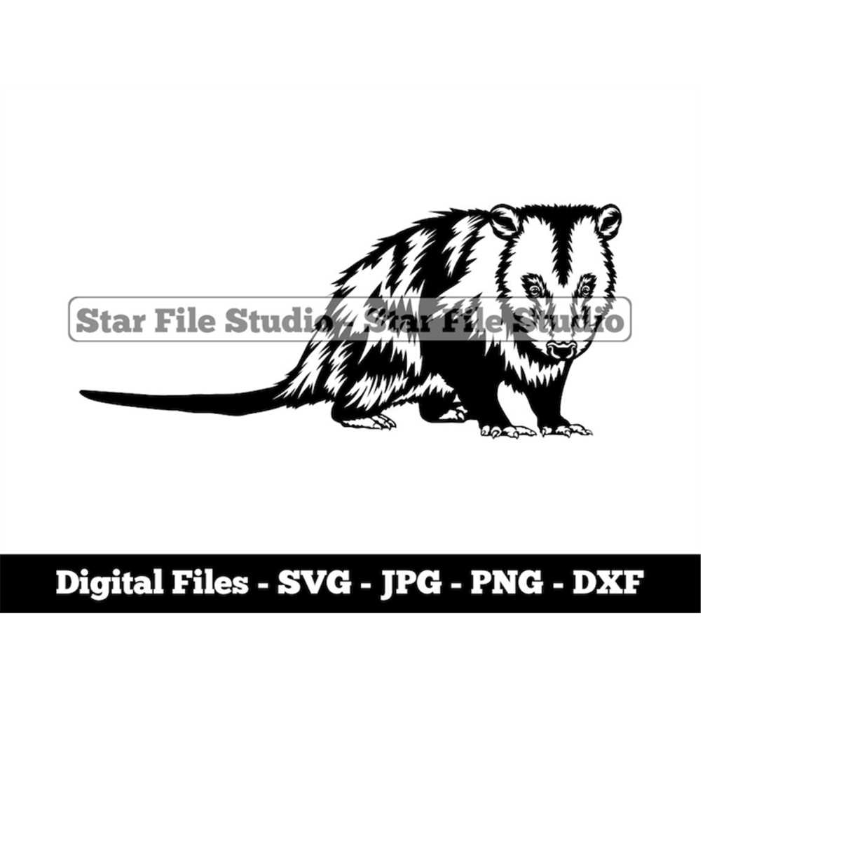 Opossum 2 Svg, Opossum Svg, Forest Animals Svg, Opossum Png, - Inspire