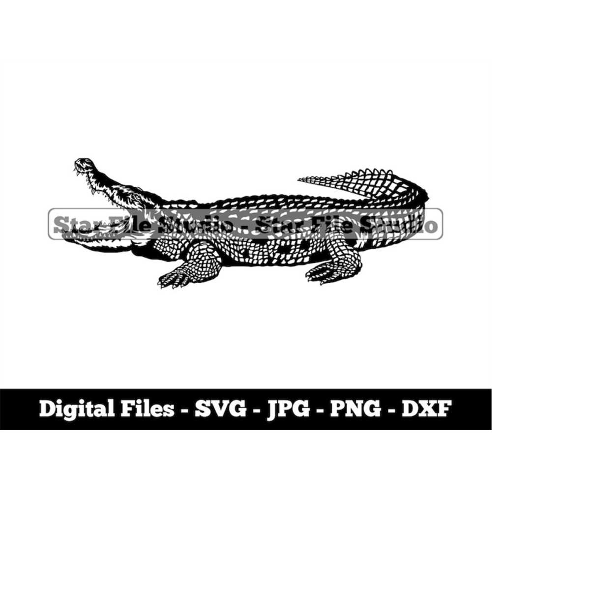 Alligator 6 Svg, Alligator Png, Alligator Jpg, Amphibian Svg - Inspire ...