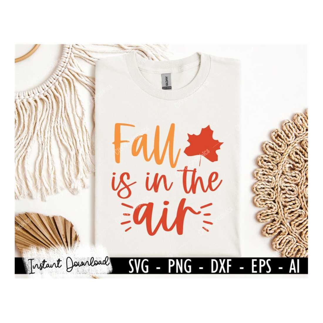 Fall SVG, Autumn Svg, Thanksgiving Svg, Fall Svg Designs, Fa | Inspire ...