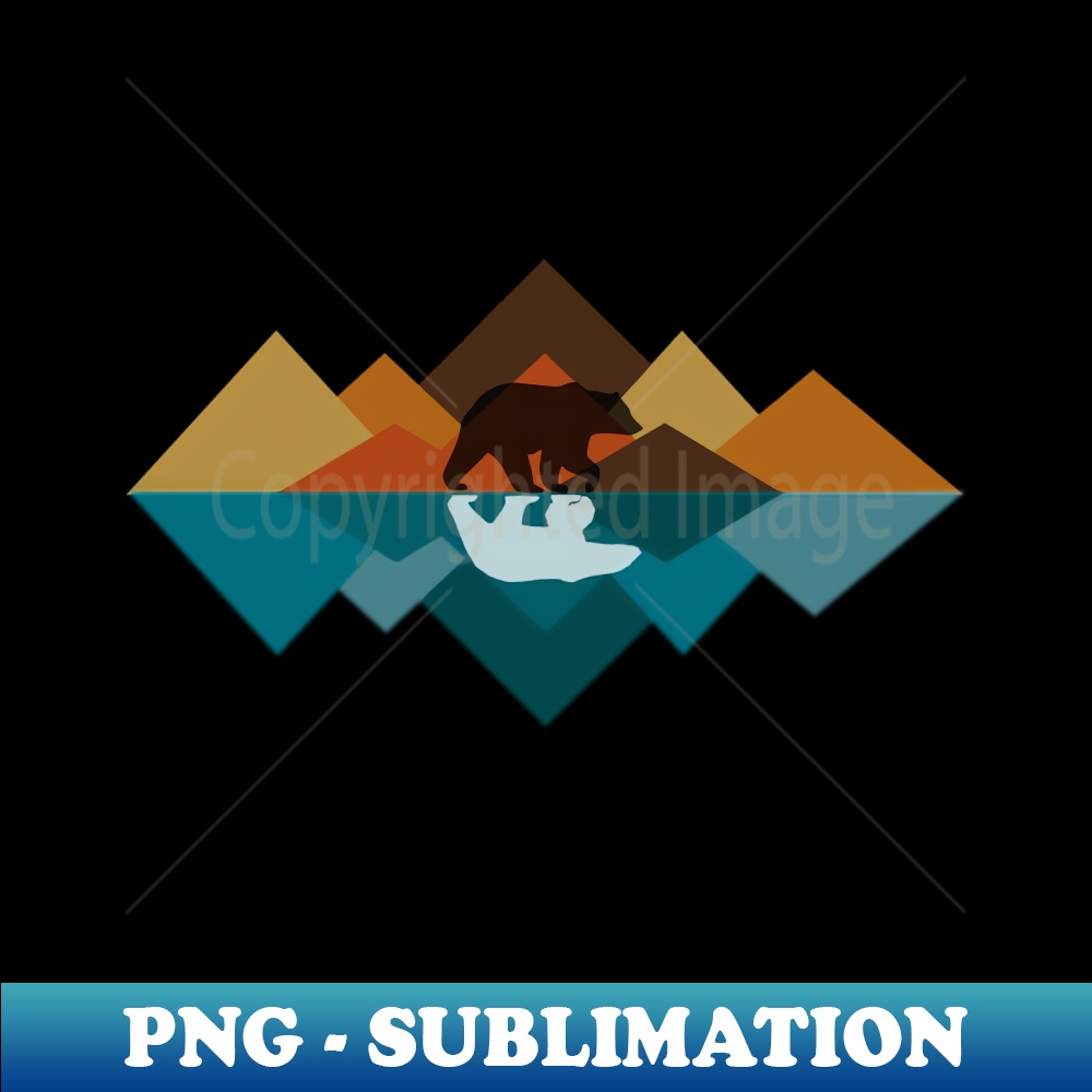 BROWN BEAR POLAR BEAR visual data 8