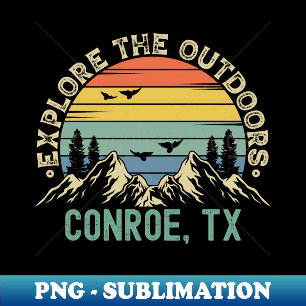 EXPLORE CONROE TEXAS visual data 7