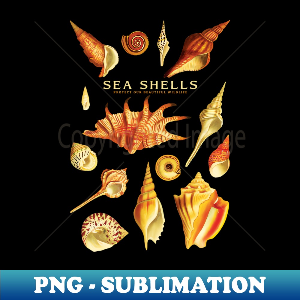 Sea Shells Protect Our Beautiful Wildlifes - Creative Sublim | Inspire ...