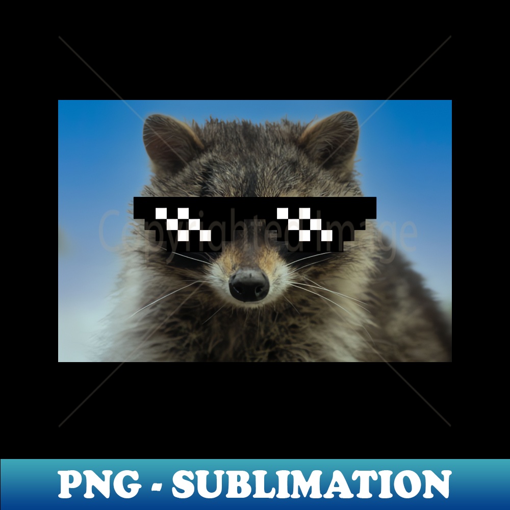Pixel Sunglasses Funny Raccoon - High-Quality PNG Sublimatio | Inspire ...