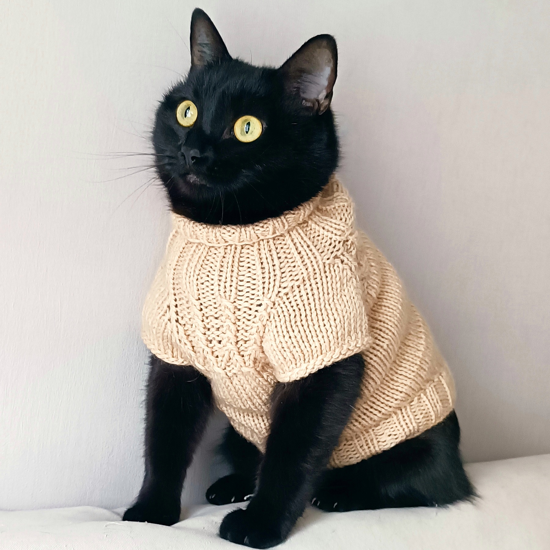 Sweater for cats Clothes for sphynx Wool jumper for pets Dog Inspire