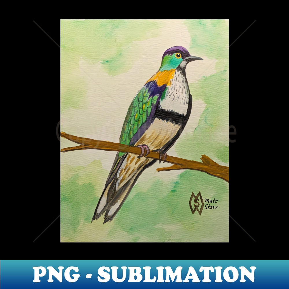 Superb fruit dove in the rainforest - PNG Transparent Digita - Inspire ...