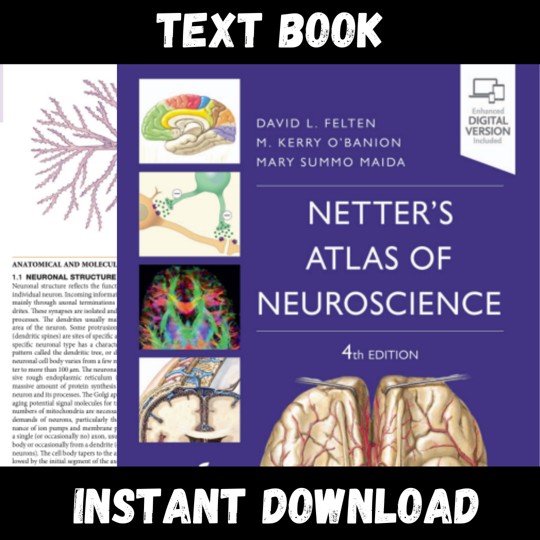 Textbook of Netter's Atlas of Neuroscience Netter Basic Scie | Inspire ...