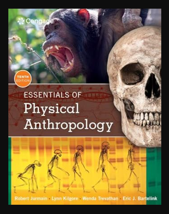 Essentials of Physical Anthropology 10th Edition | Inspire Uplift