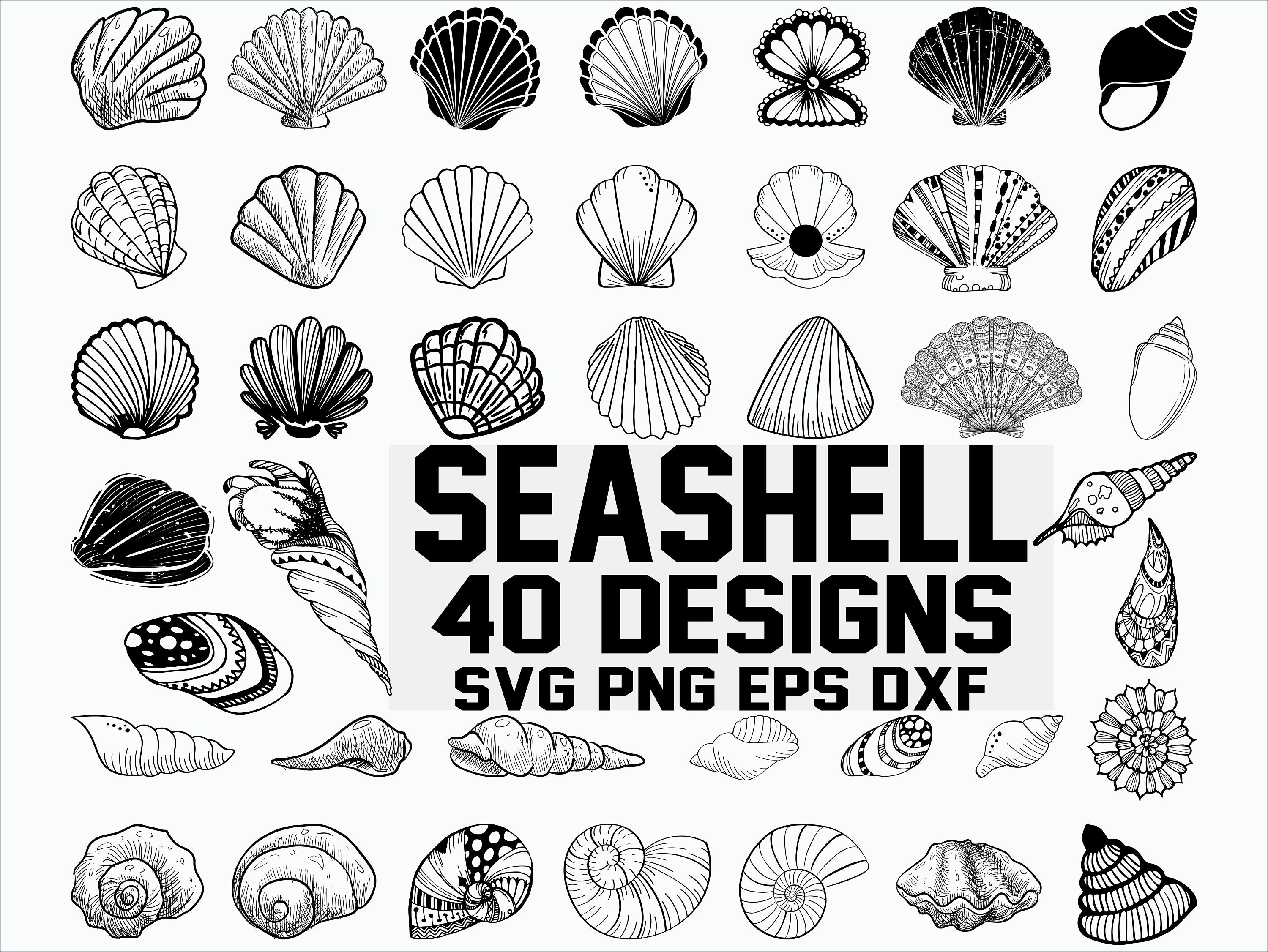 Seashell SVG, shell svg, seashell clipart, clam svg - Inspire Uplift