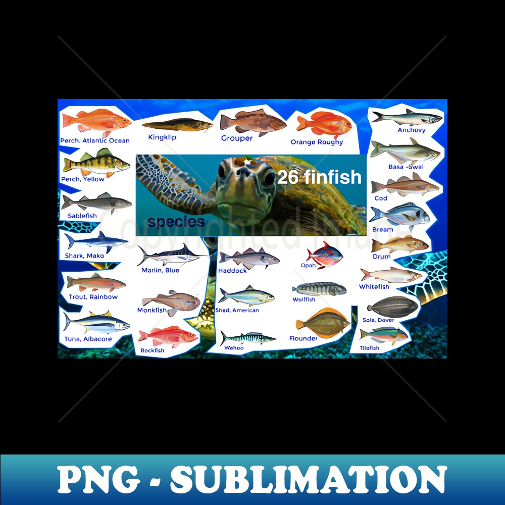 26 finfish species - Sublimation-Ready PNG File - Perfect fo | Inspire ...