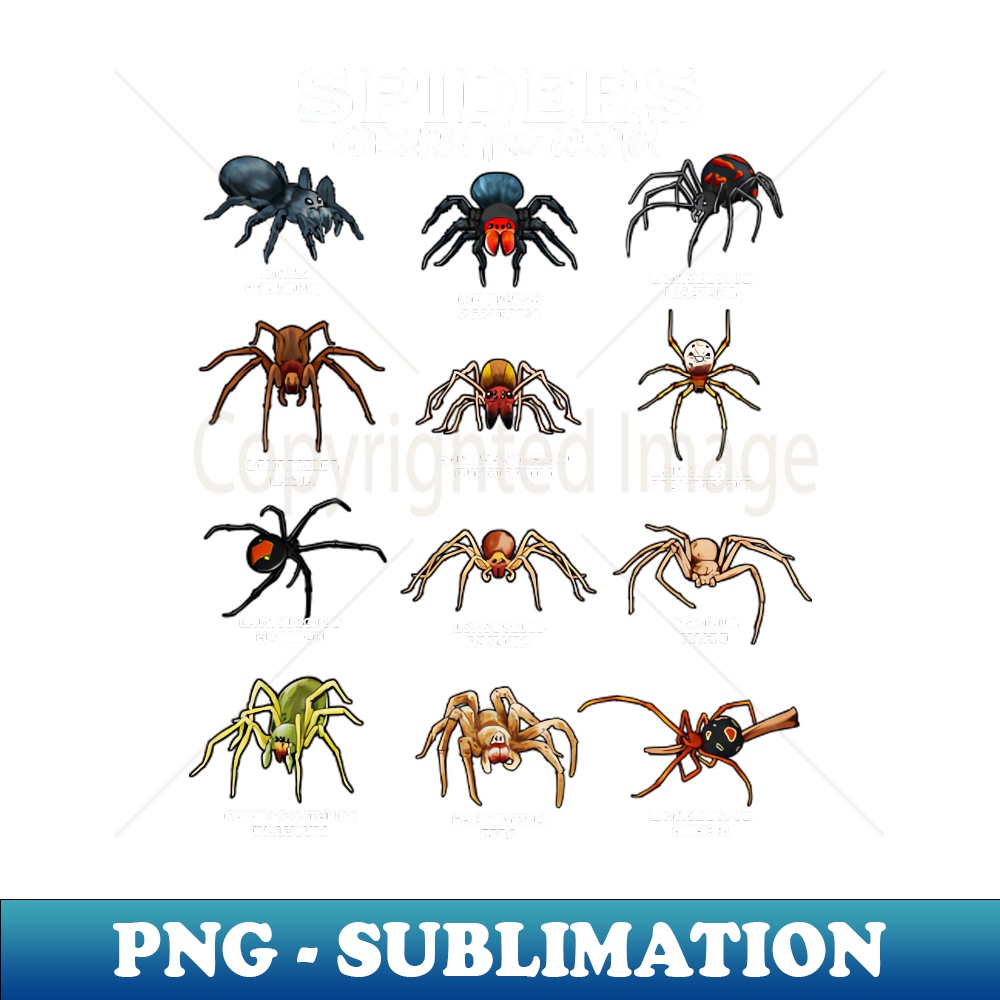 Spiders in the world types of spiders Modern Sublimation Inspire