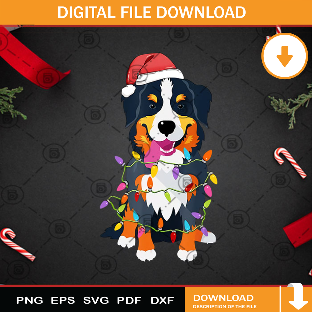 Bernese mountain dog christmas lights