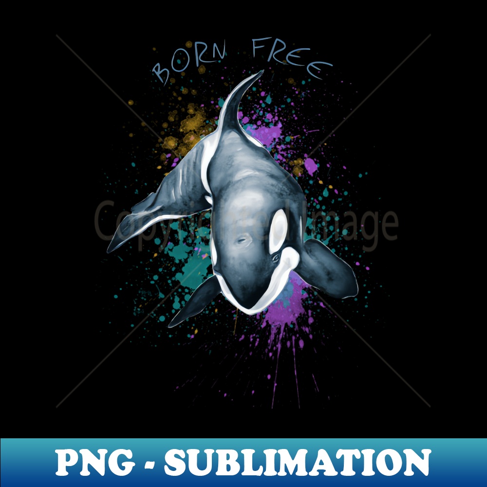 Orca Whale Born Free Keiko Art - Special Edition Sublimation | Inspire ...