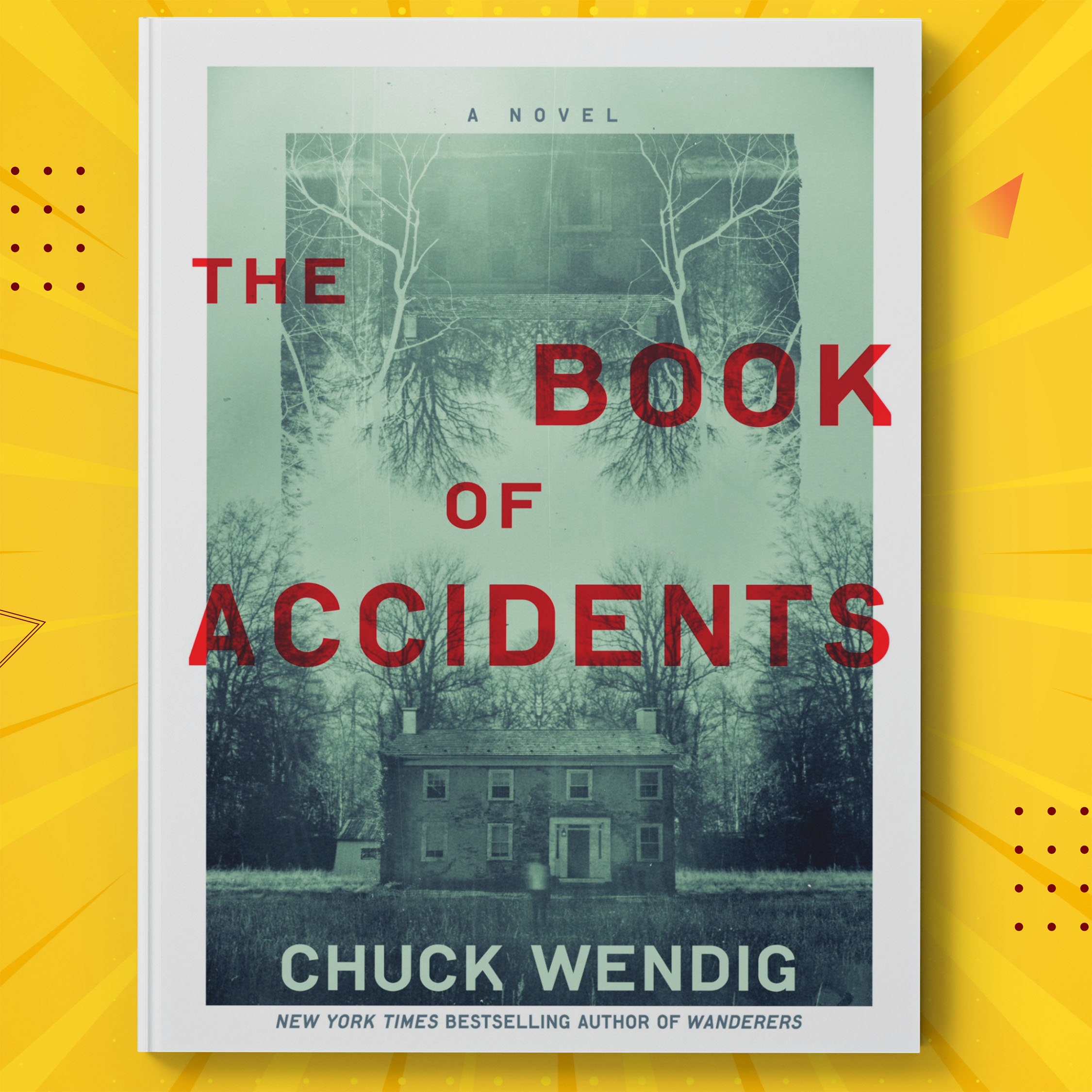 The Book of Accidents main image 1