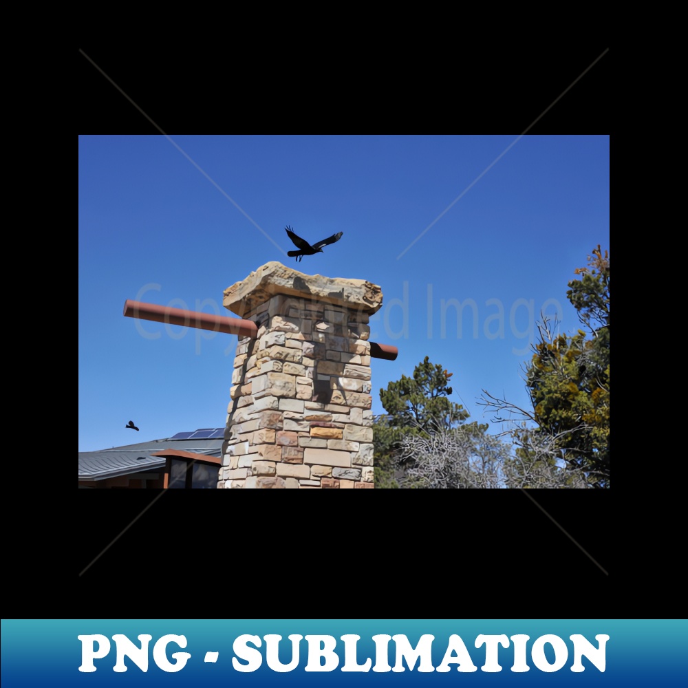 Flying Crow - Aesthetic Sublimation Digital File - Unleash Y - Inspire