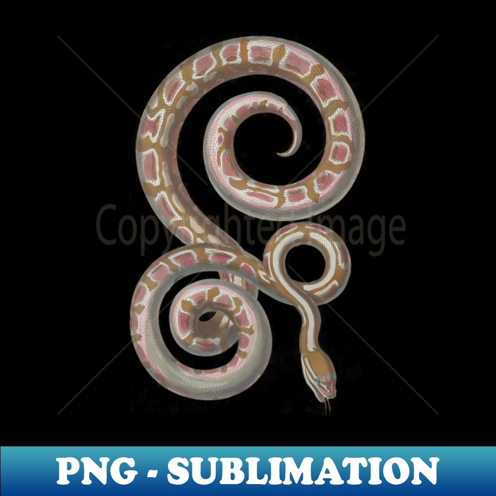 Python Vintage Snake Reptile Scientific Drawing - PNG Transp | Inspire ...