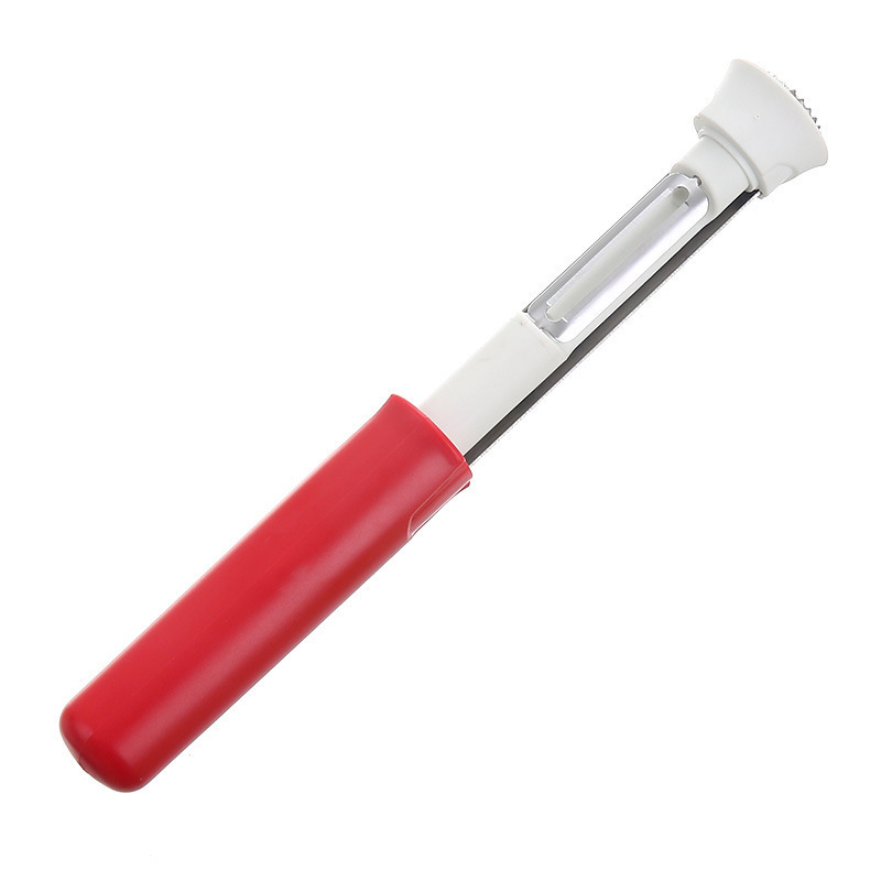Apple Corer and Peeler Stainless Steel Fruit Peeler Tool