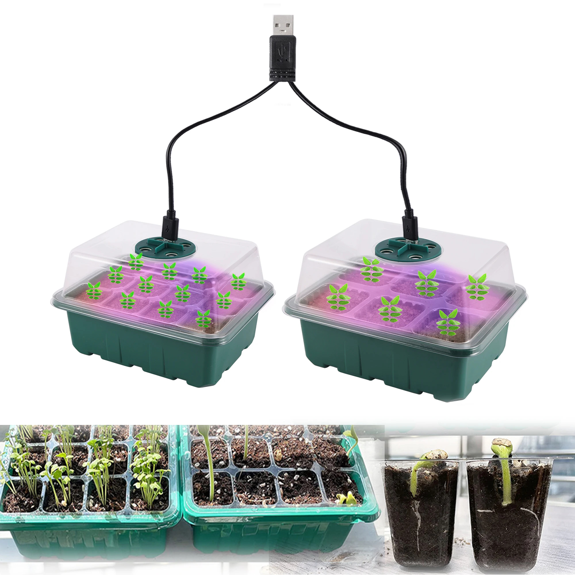 Premium Indoor Seed Starter Tray with LED Grow Light Kit and Adjustable Humidity Dome for Healthy Seed Germination
