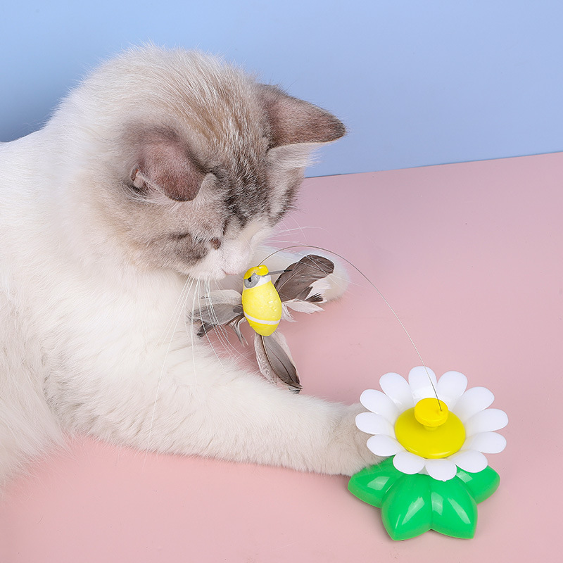 Colorful Butterfly Bird Cat Toy: Automatic Electric Interact | Inspire ...