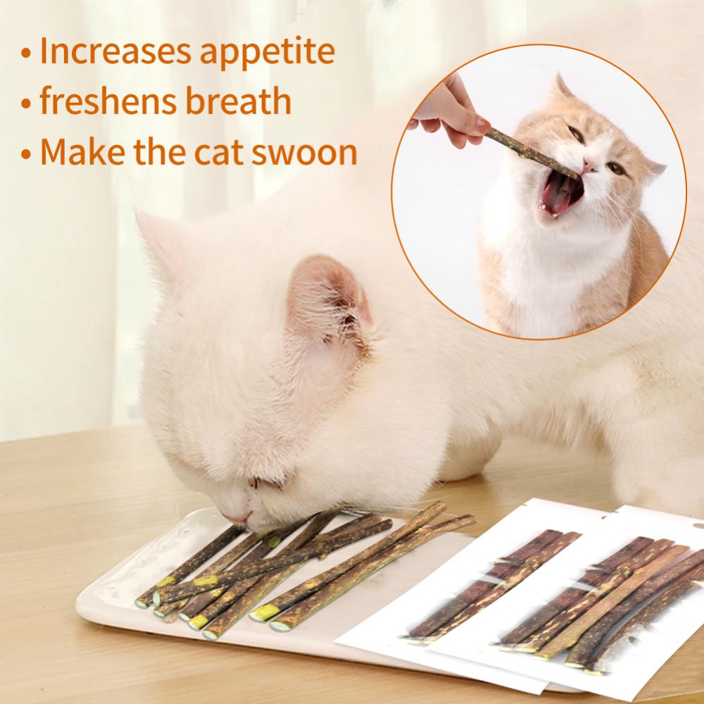 Natural Matatabi Cat Sticks: Minty Rods for Cat Dental Care | Inspire ...