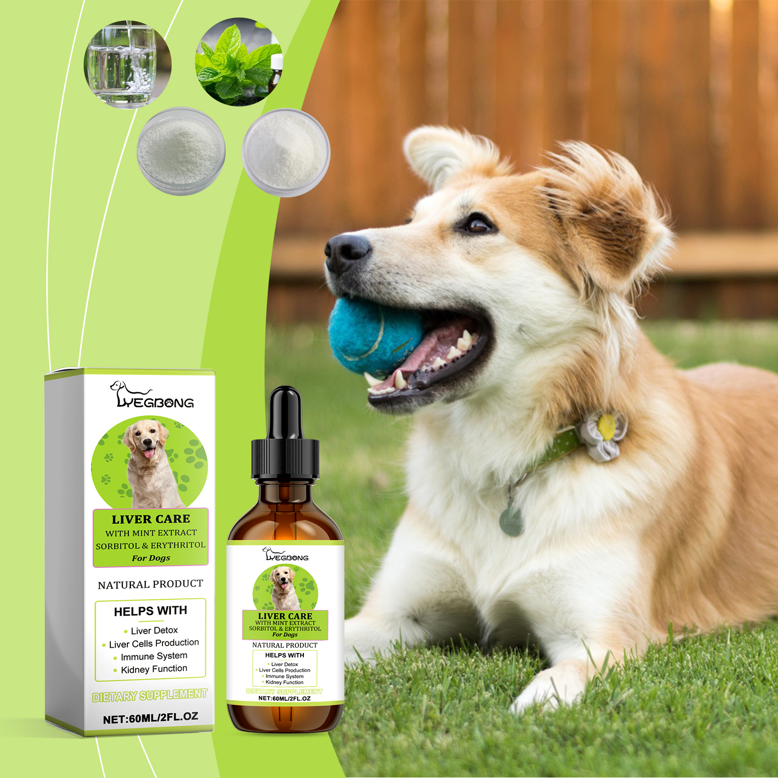 Canine Liver Support & Metabolism Drops 60ml Dog Liver Support Supplement for Energy & Detox