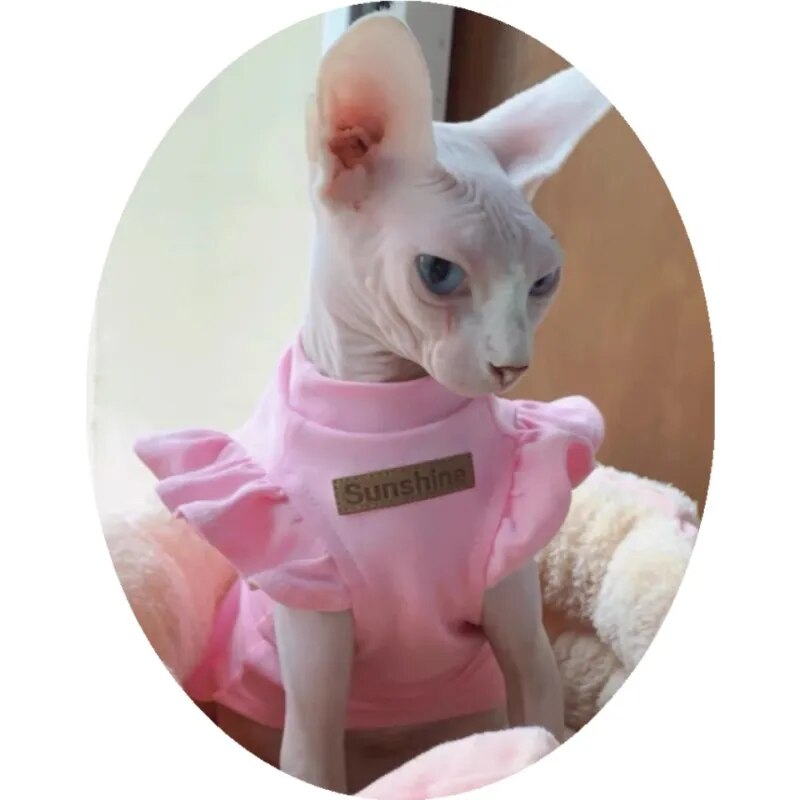 Summer Luxury Sphynx Cat Clothes: Stylish Attire