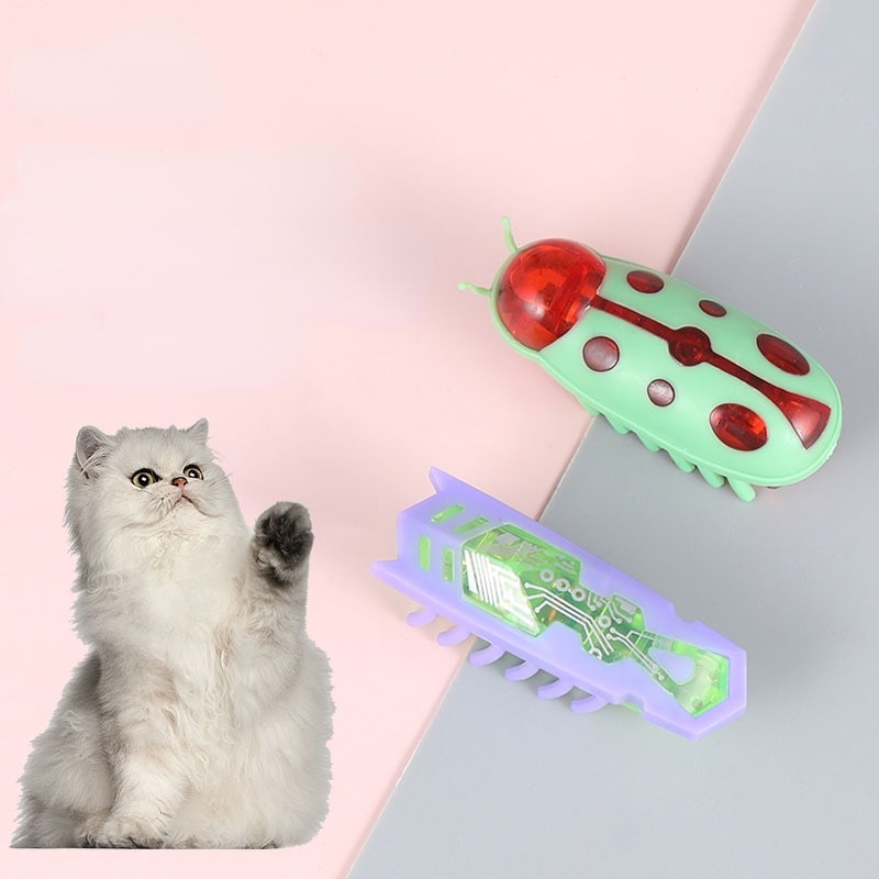 Pet Interactive Mini Electric Bug Cat Toy - Escape Obstacle, | Inspire  Uplift