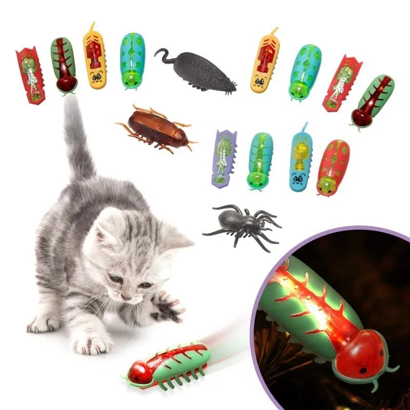 Pet Interactive Mini Electric Bug Cat Toy - Escape Obstacle, | Inspire  Uplift