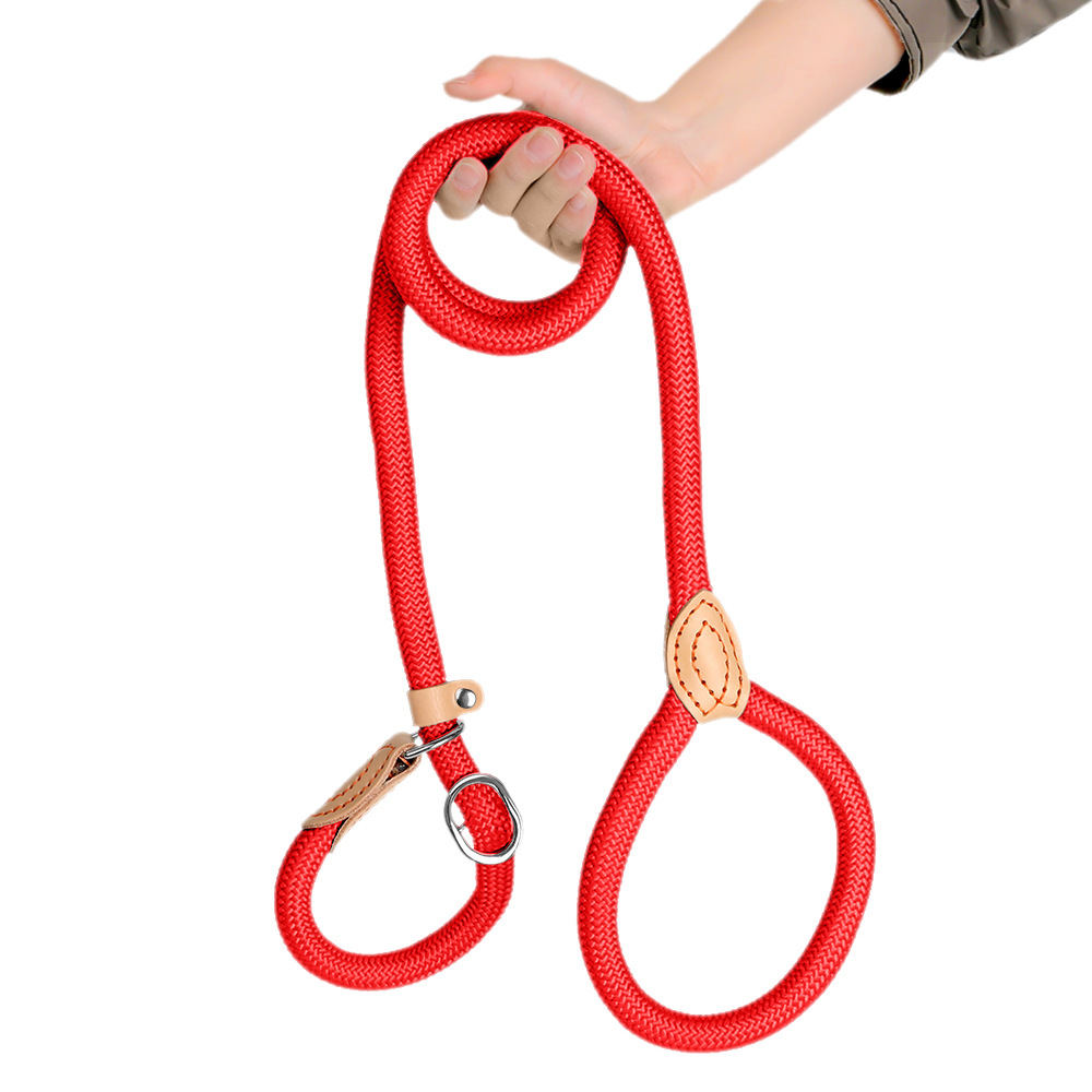 Heavy Duty Slip Lead Dog Leash for Large Dogs Nylon Rope Training Lead