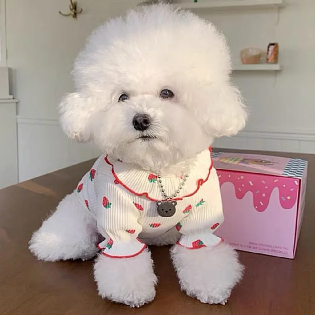 Strawberry Small Dog Clothes Summer Dog Vest with Ruffled Collar for Cats & Puppies