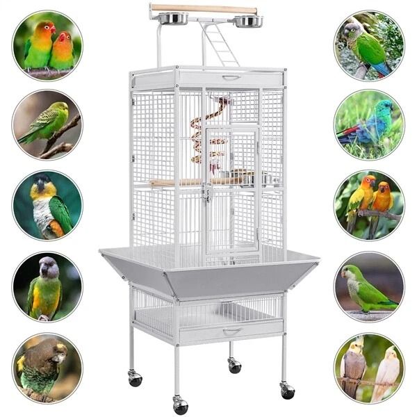61 Large Bird Cage with Play Top – Durable Parrot Cage | Inspire Uplift