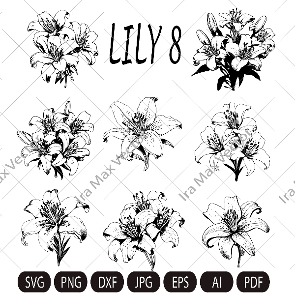 Lily Flower Svg, Lily Svg Bundle, Lily set Svg, Hand Drawn L | Inspire