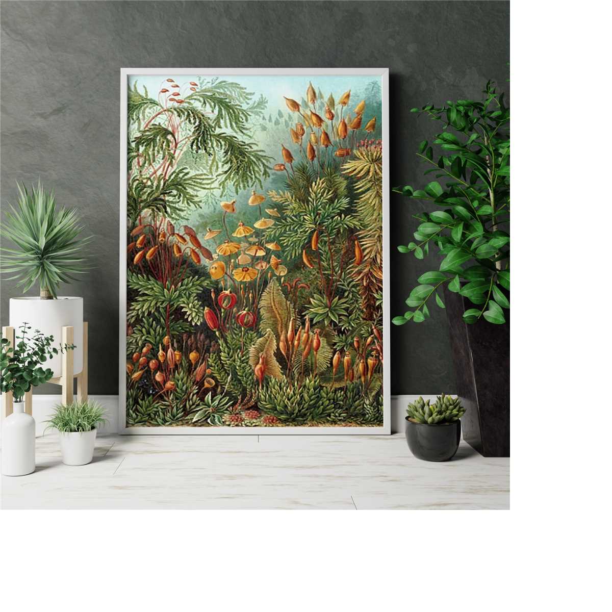 Vintage Ernst Haeckel Botanical Canvas, Biology Poster, Erns | Inspire ...