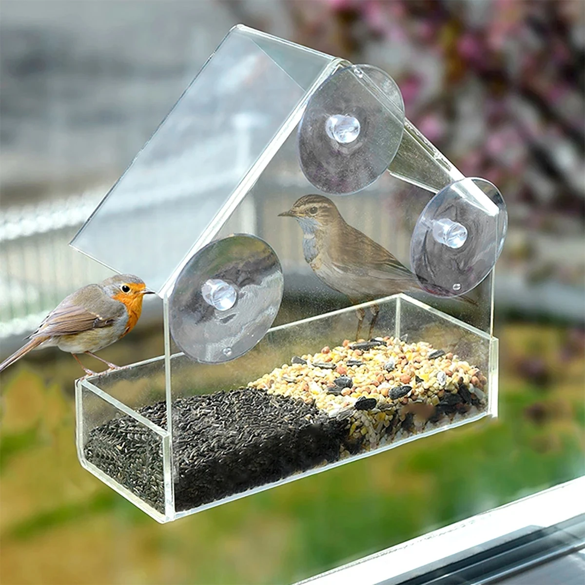 Outdoor Wild Bird Feeder, House Transparent Window Sliding Tray with Removable Suction Cups