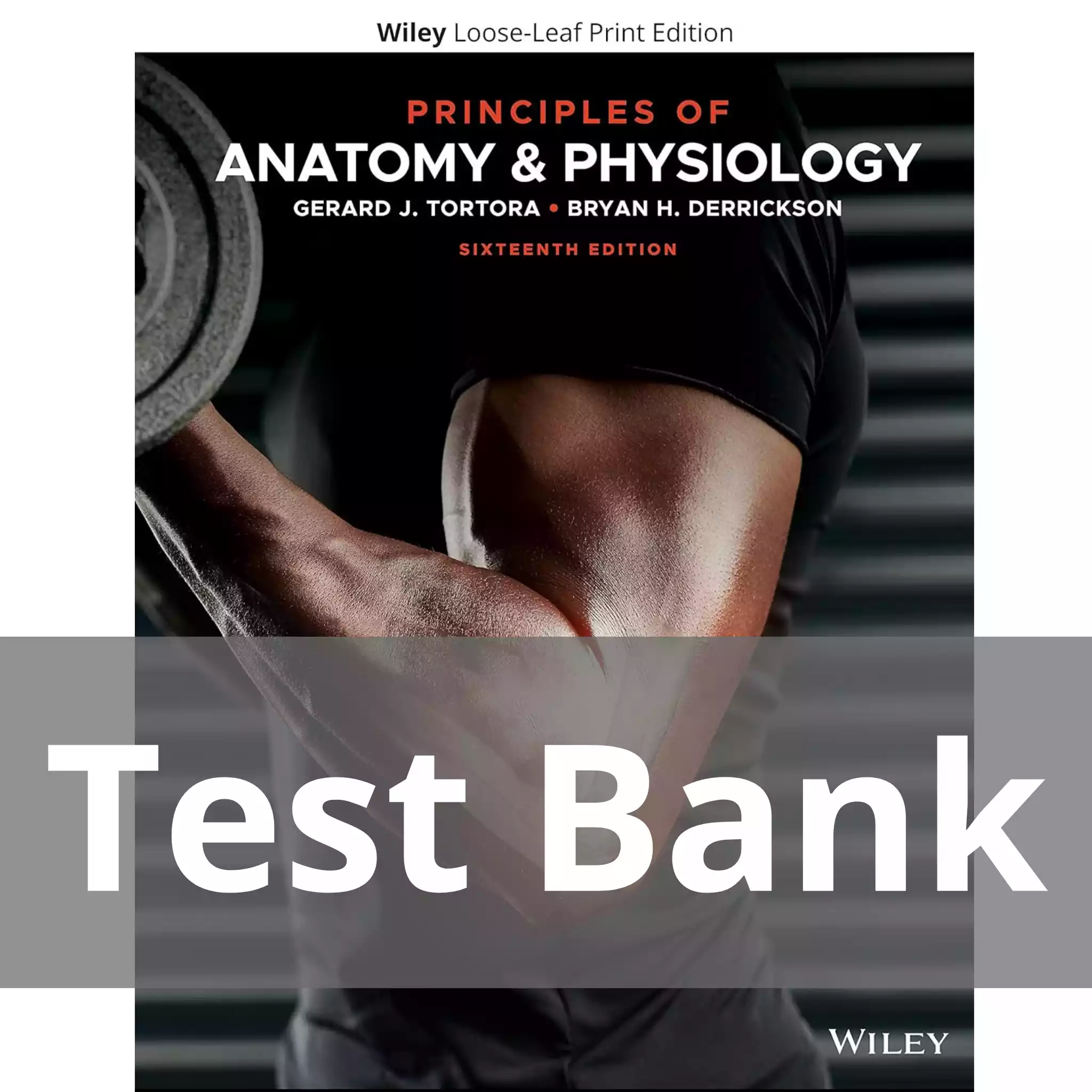 Principles Of Anatomy And Physiology