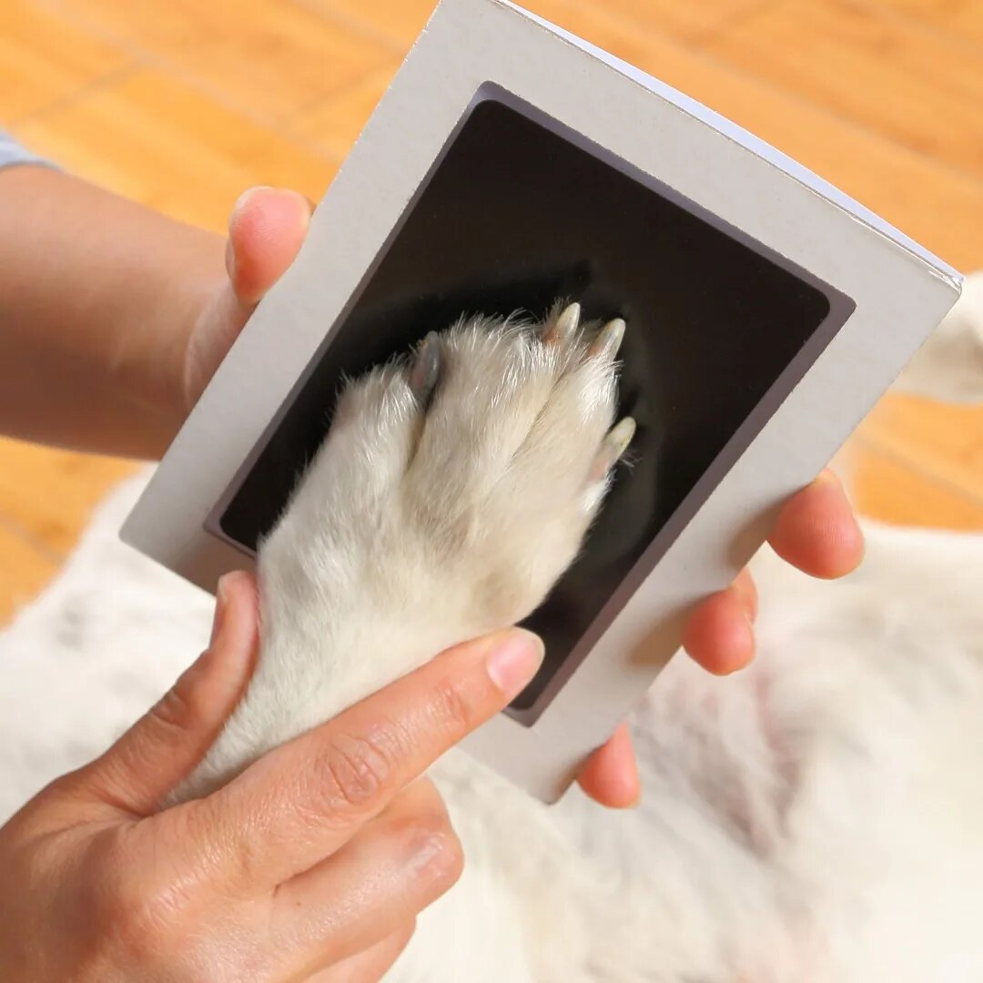 Paw Print Clean Touch Ink Pad Inkless Pet Keepsake Kit | Inspire Uplift
