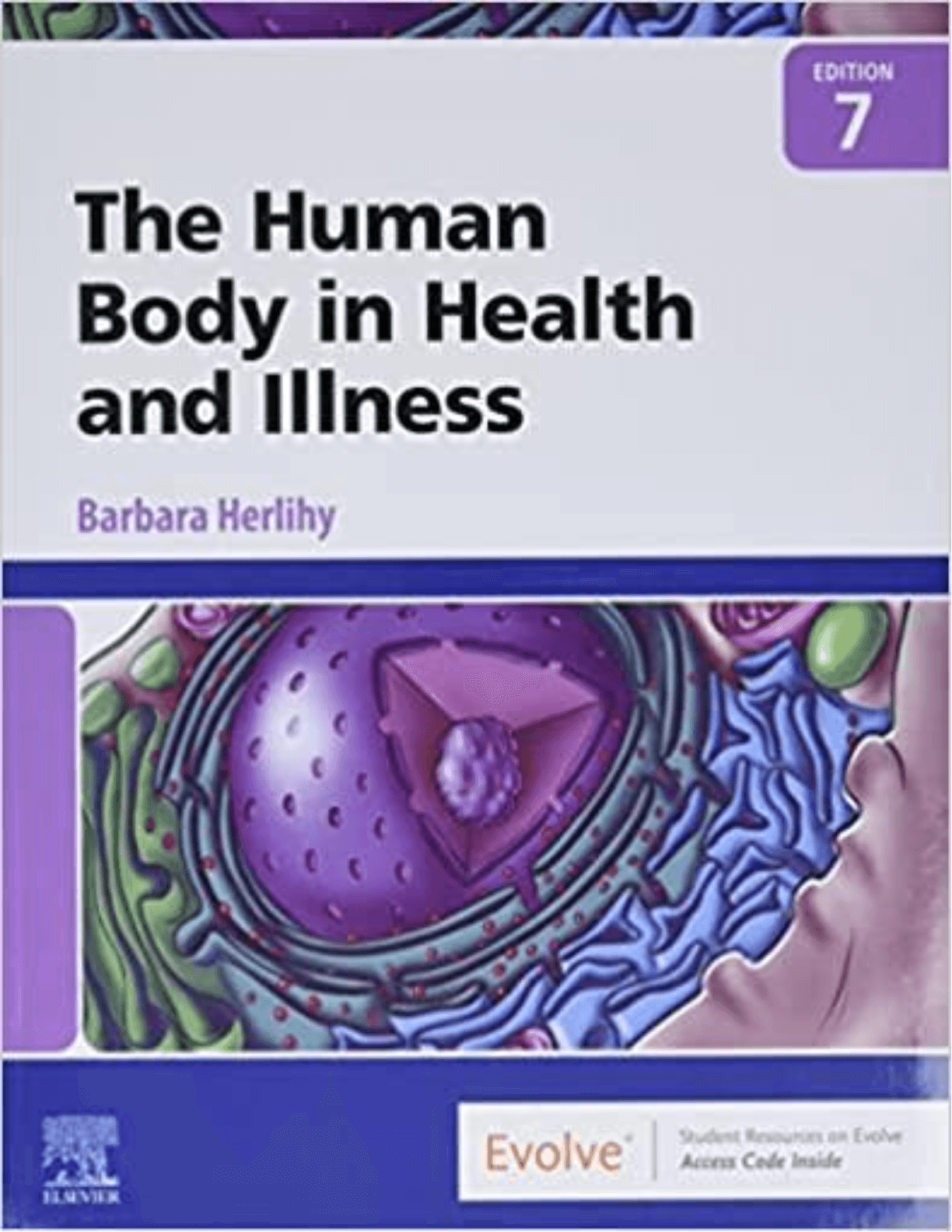 Test Bank for The Human Body in Health and Illness 7th Editi | Inspire ...