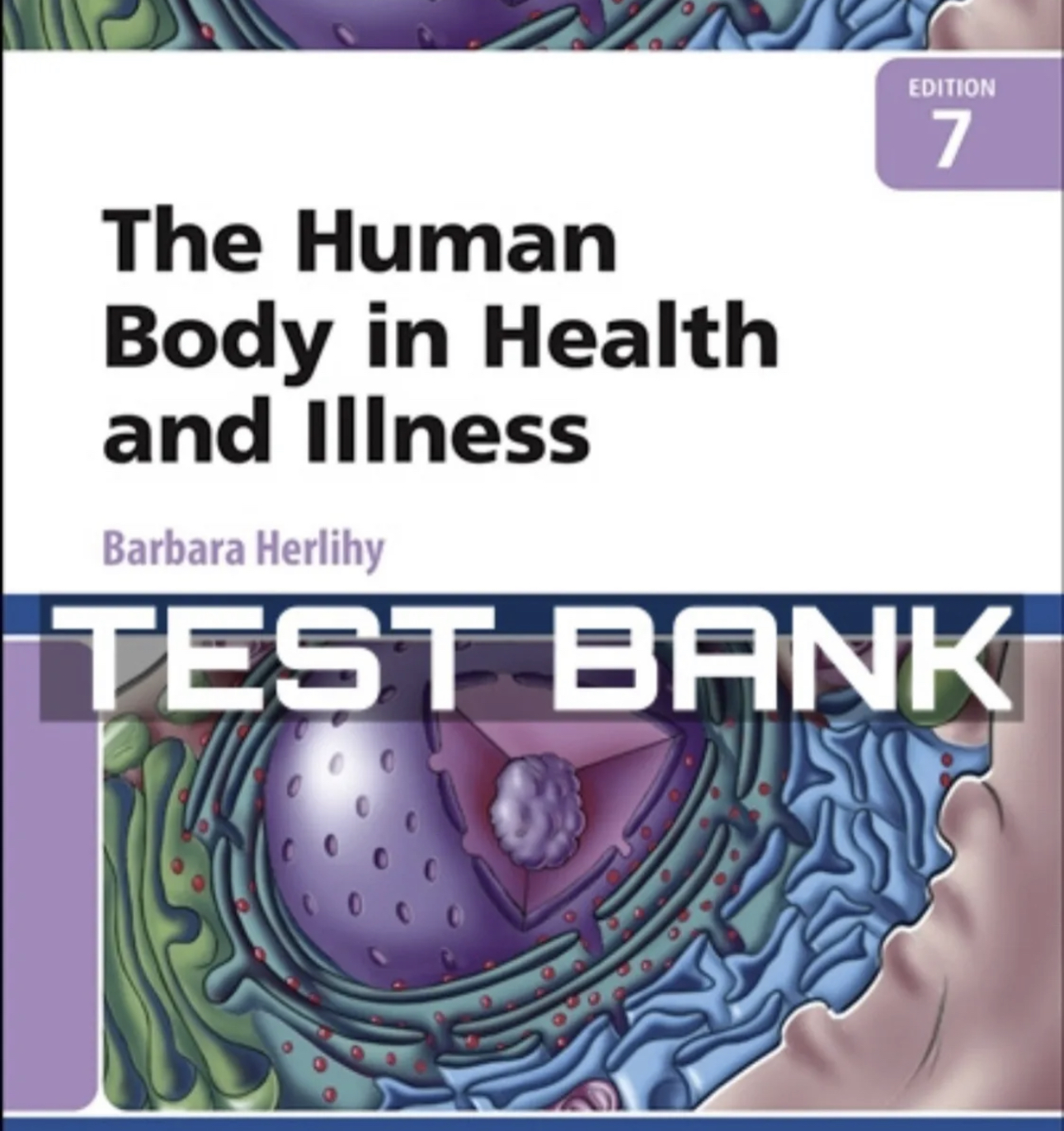 Test Bank The Human Body In Health And Illness 7th Edition | Inspire Uplift