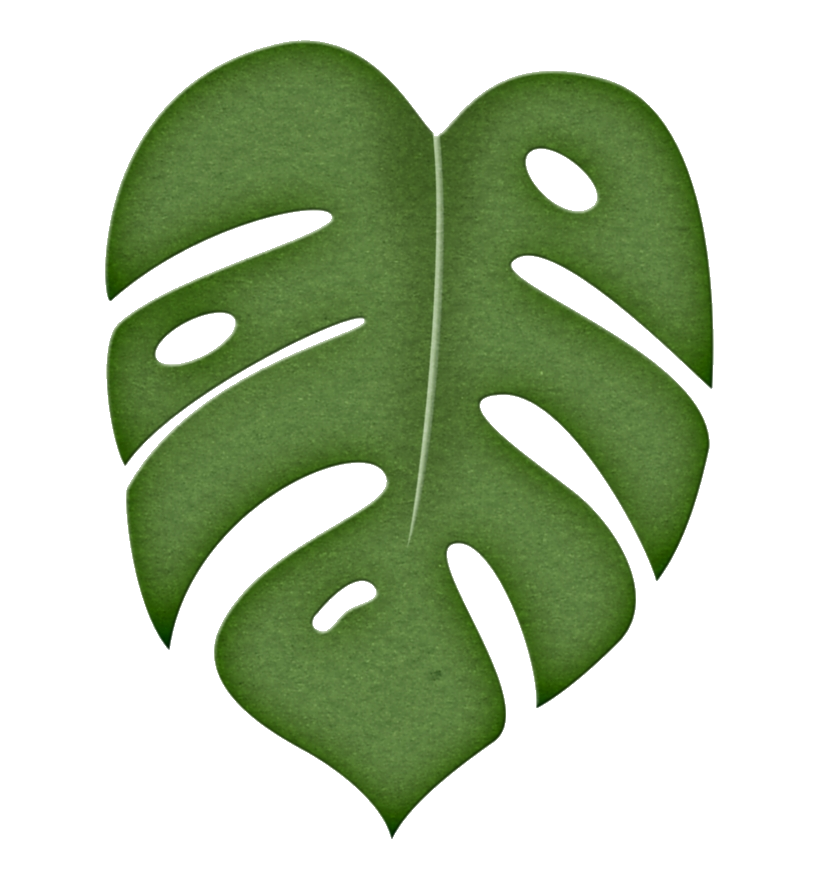 Moana Leaf PNG Transparent Images, Disney Moana PNG, Clipart | Inspire ...