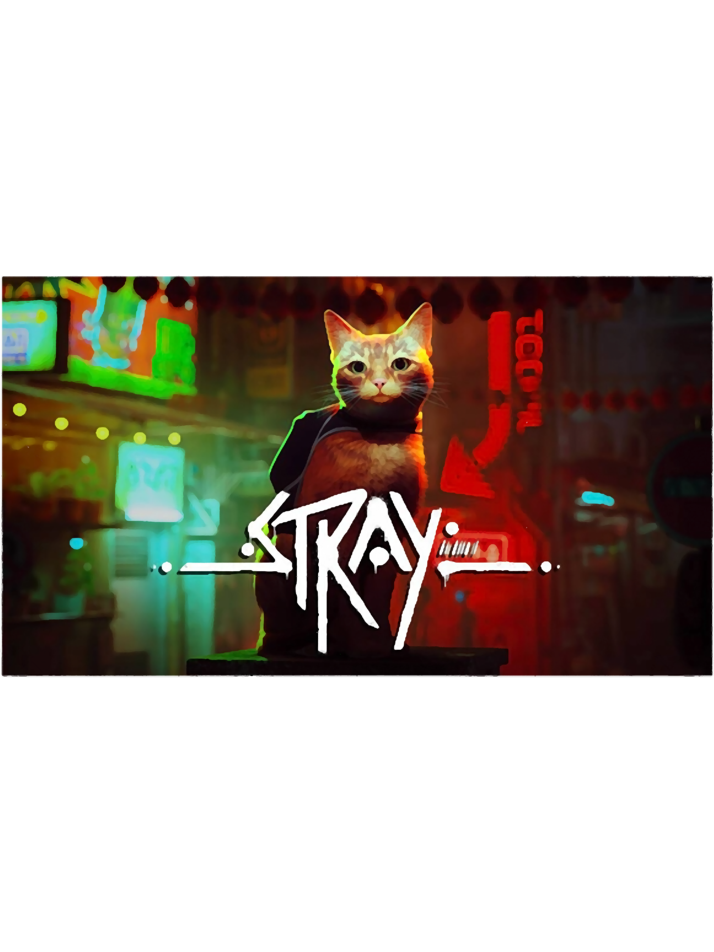 Stray Game | Inspire Uplift