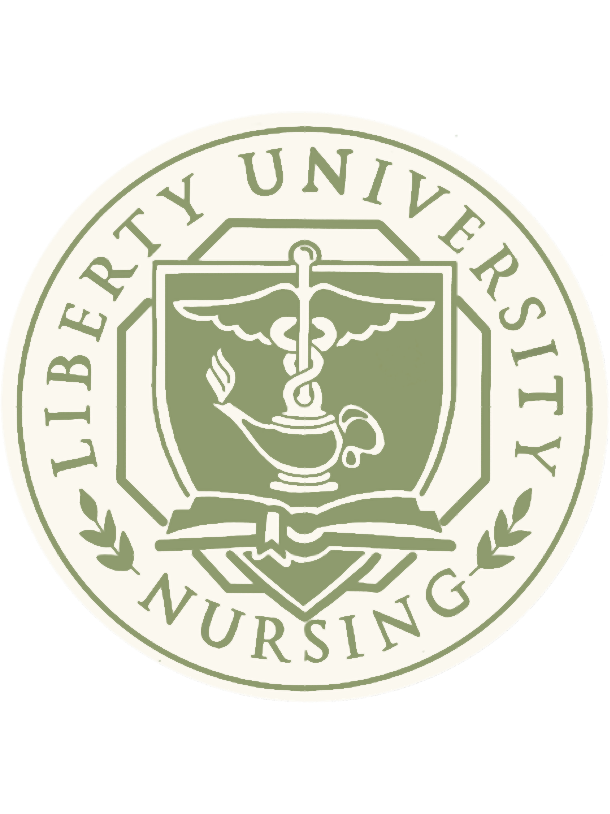 Liberty University Nursing Degree Completion Plan - s0pydfu