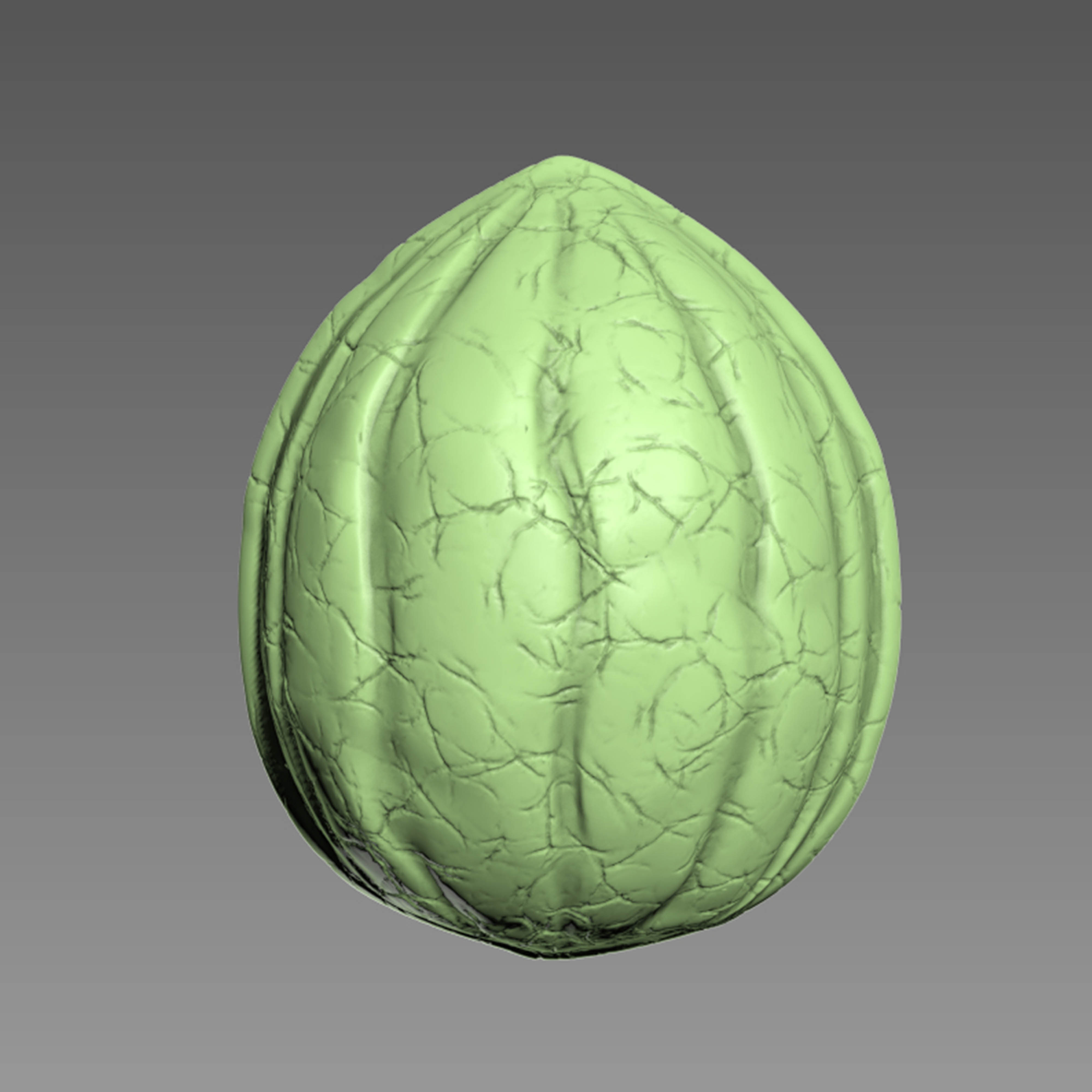 Nut Shell | Inspire Uplift