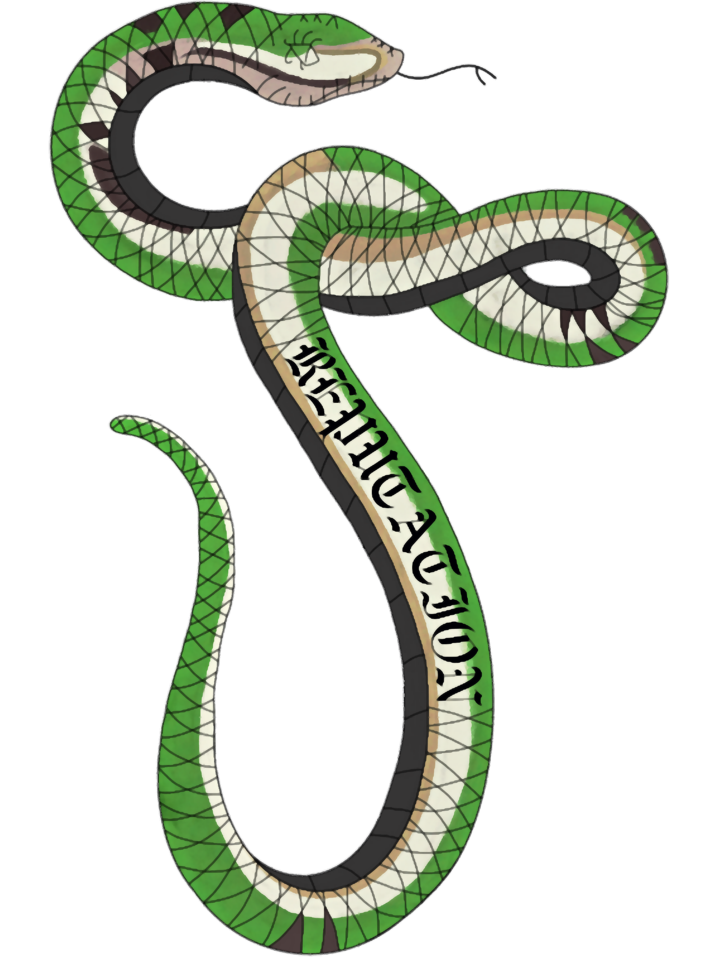 Rep Snake Color green rep snake | Inspire Uplift