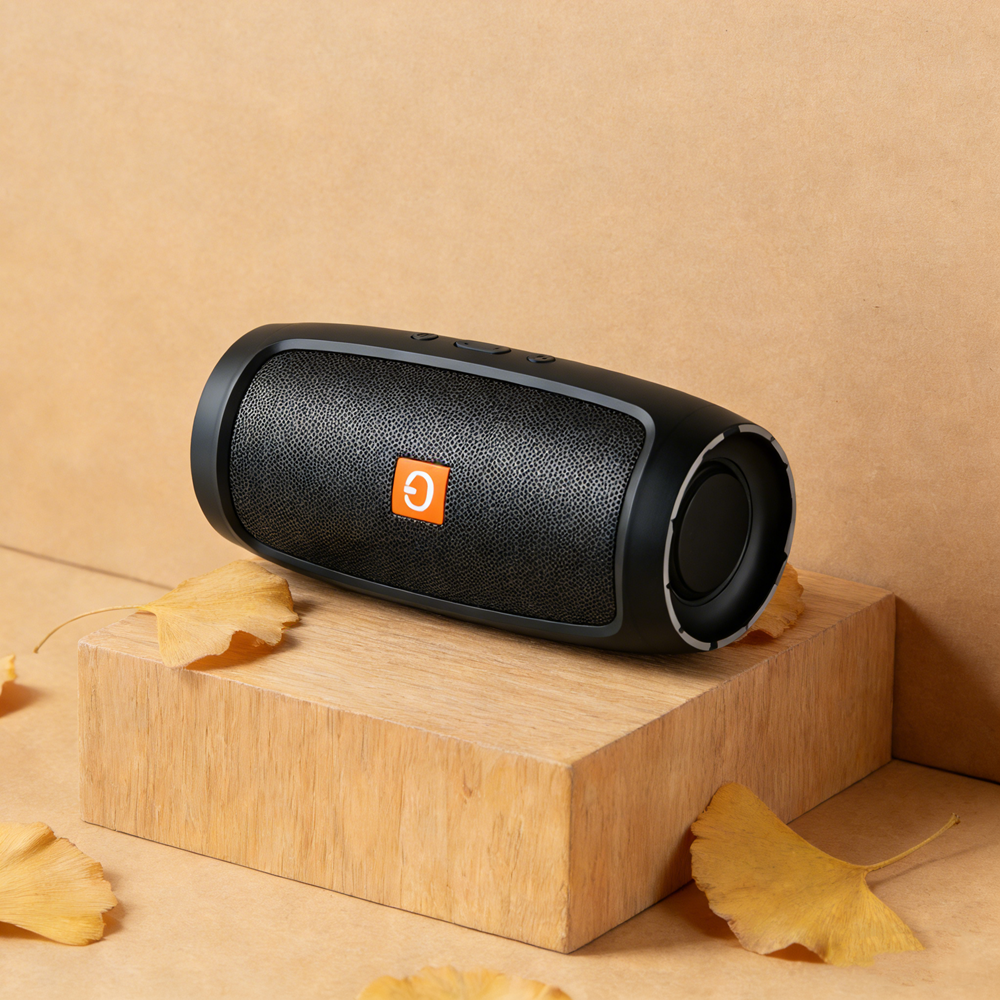 Bluetooth Mini Soundbar Portable Wireless Speaker with Subwoofer Stereo Playback & FM Radio